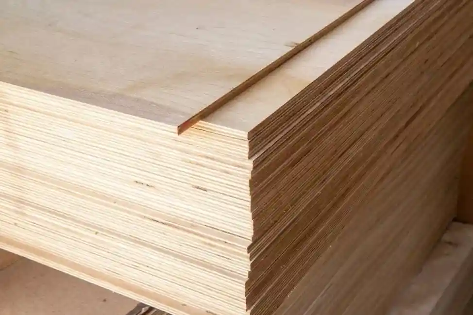 Top 5 Benefits of Using Waterproof and Termite Resistant Plywood - Zander Plywood