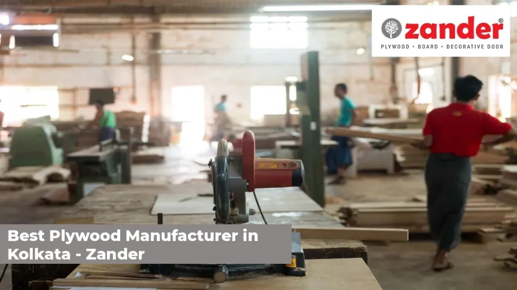 Best Plywood Manufacturer in Kolkata - Zander