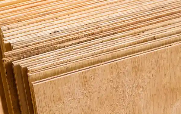 Affordable plywood supplier in West Bengal- Zander