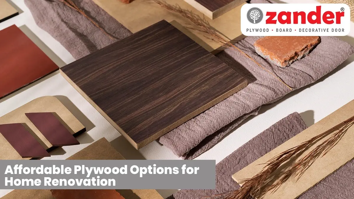 Affordable Plywood Options for Home Renovation in West Bengal – Strong, Stylish & Budget-Friendly - Zander Ply