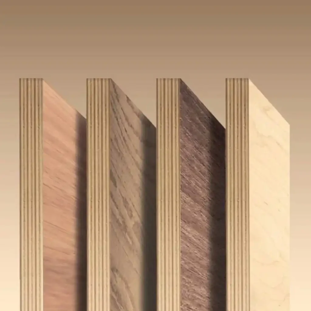 Best Commercial Plywood Dealer in Ranchi – Zander Plywood Trusted by Experts