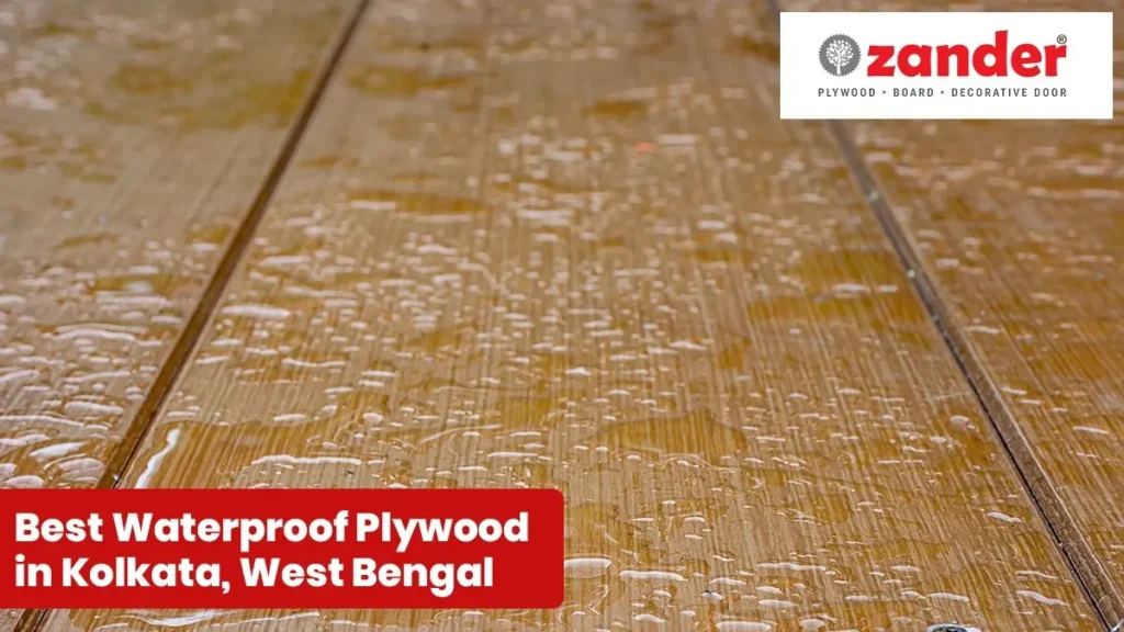 Best Waterproof Plywood in Kolkata, West Bengal – Durable Choices for Kitchens & Bathrooms: Zander Plywood