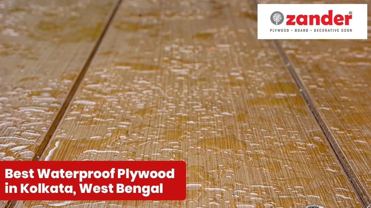 Best Waterproof Plywood in Kolkata, West Bengal – Durable Choices for Kitchens & Bathrooms: Zander Plywood
