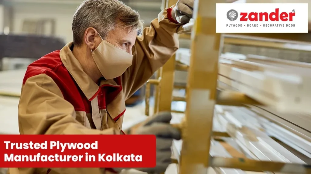 Trusted Plywood Manufacturer in Kolkata – Quality Plywood for Home & Commercial Use: Zander Plywood