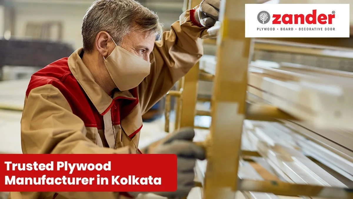 Trusted Plywood Manufacturer in Kolkata – Quality Plywood for Home & Commercial Use: Zander Plywood