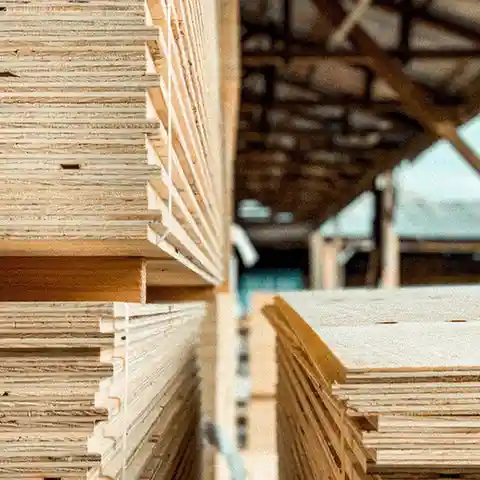 Top Plywood Dealer in Ranchi for B2B Bulk Orders – Zander Ply