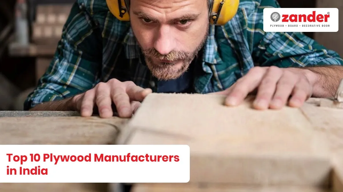 Top 10 Plywood Manufacturers in India – Dealers & Wholesale Suppliers: Why Zander Ply is the Best